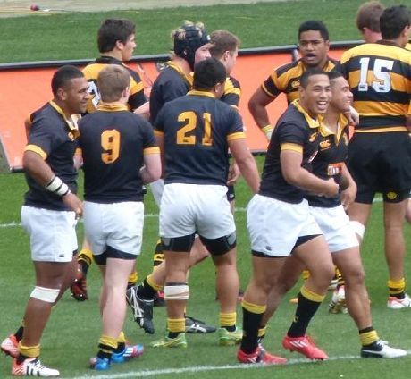 Wins for Wellington rep teams on Saturday